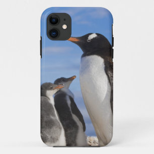 Coques Pour iPhone Antarctique, Neko Cove (Port). Pingouin Gentoo 2