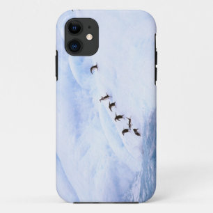 Case-Mate iPhone Case Antarctique, péninsule Antarctique. Chinstrap