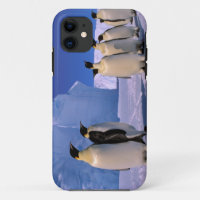 Antarctique, Territoire antarctique australien, 7