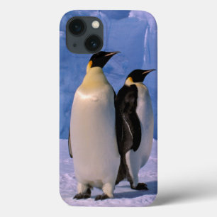 iPhone 13 Case Antarctique, Territoire antarctique australien, 7