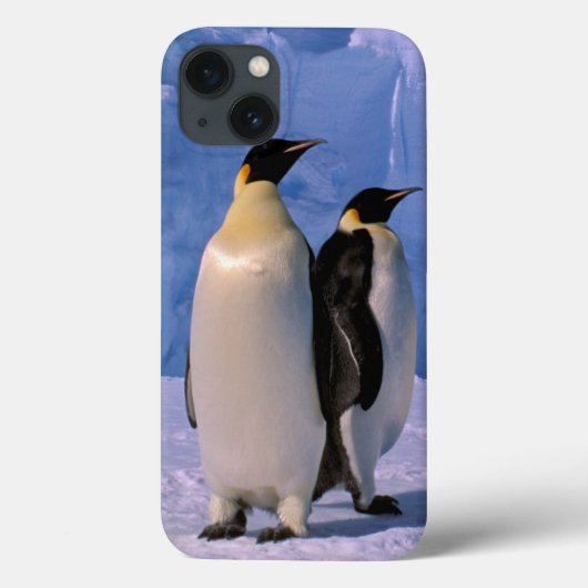 Coques Case-Mate iPhone Antarctique, Territoire antarctique australien, 7 (Verso)