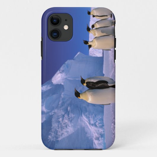 Coques Case-Mate iPhone Antarctique, territoire australien antarctique, 7 (Dos)