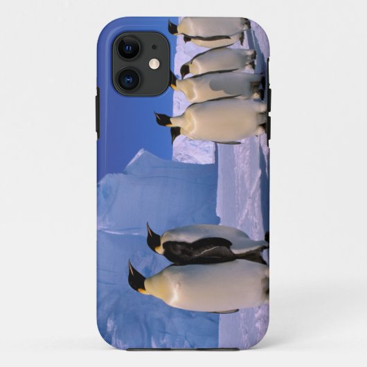Coques Case-Mate iPhone Antarctique, territoire australien antarctique, 7 (Dos)