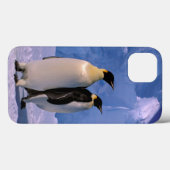 Coques Case-Mate iPhone Antarctique, territoire australien antarctique, 7 (Verso (horizontal))