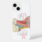 Coques Case-Mate iPhone Antérieur Triangle supérieur Triangle cou Muscles  (Verso)