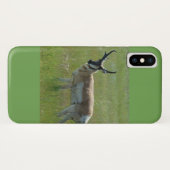 Coques Case-Mate iPhone Antilope d'Amérique A36 (Dos (Horizontal))