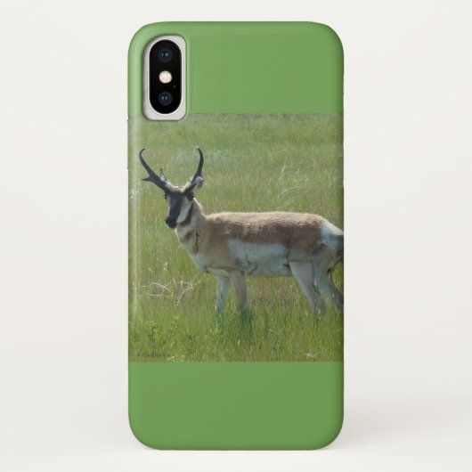 Coques Case-Mate iPhone Antilope d'Amérique A36 (Dos)