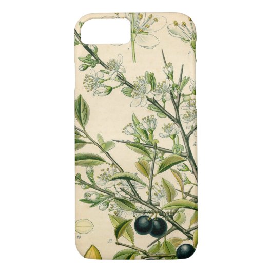 Coques Case-Mate iPhone Antique Blackthorn Botanique Imprimé Fleur Berry (Dos)