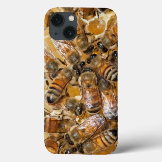 Coques Case-Mate iPhone Apiculture à Arlo's Honey Farm (Verso)