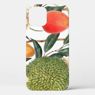Case-Mate iPhone Case Aquarelle de durian tropical, motif de mangue.