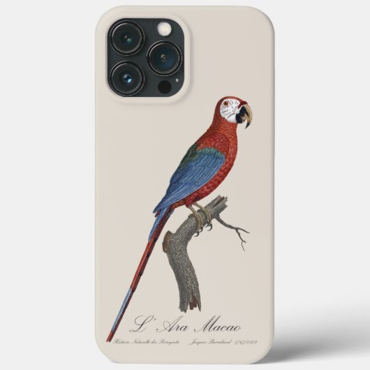 Coques Case-Mate iPhone Ara chloroptère (Verso)