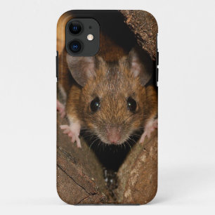 Coques Pour iPhone Arachide la souris en bois