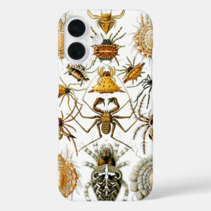 Coques iPhone 16 Arachnides par Ernest Haeckel illustration vintage