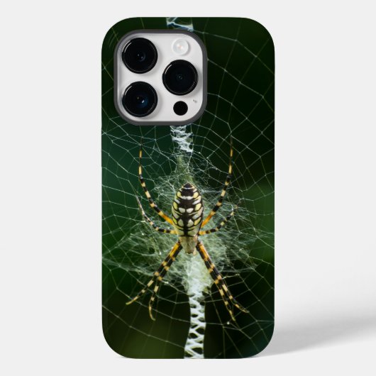 Coques Case-Mate iPhone Araignée de jardin noire et jaune (Verso)