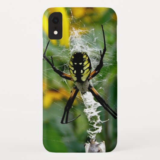 Coques Case-Mate iPhone Araignée jaune (Dos)