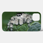 Coques Case-Mate iPhone Araignée sauteuse Metaphid (Verso (horizontal))