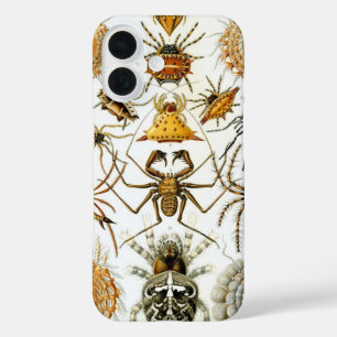 Coques iPhone 16 Araignées ou arachnides vintage par Ernst Haeckel