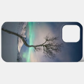 Coques Case-Mate iPhone Arborescence boréale (Verso (horizontal))