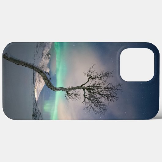 Coques Case-Mate iPhone Arborescence boréale (Verso (horizontal))