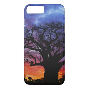 Case-Mate iPhone Case arbre baobab africain, Adansonia digitata, 2