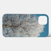 Coques Case-Mate iPhone Arbre blanc contre ciel bleu sans nuages (Verso (horizontal))