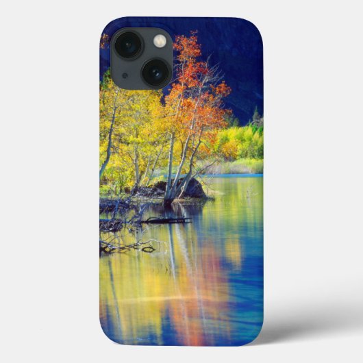 Coques Case-Mate iPhone Arbre d'Aspen en en automne se reflétant dans le l (Verso)