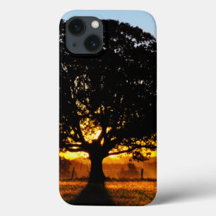 iPhone 13 Coque Arbre pendant le matin