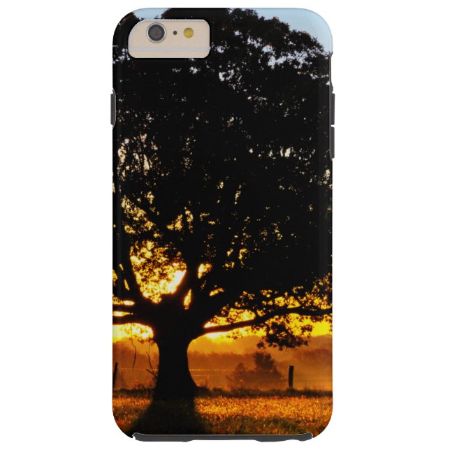 Coques Case-Mate iPhone Arbre pendant le matin (Dos)