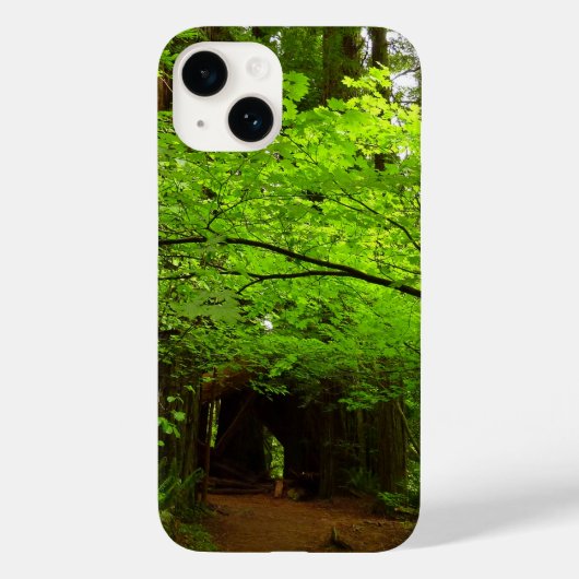 Coques Case-Mate iPhone Arbres à érable dans la forêt de séquoias (Verso)