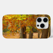 Coques Case-Mate iPhone Arbres d'automne (Verso (horizontal))