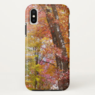 Case-Mate iPhone Case Arbres d'automne orange et jaune Photographie d'au