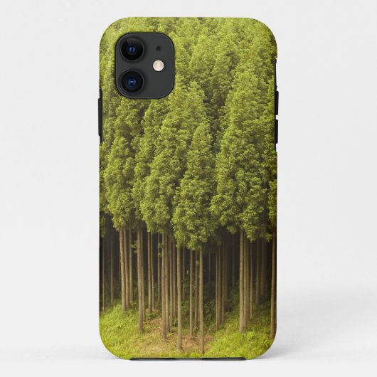 Coques Case-Mate iPhone Arbres de cèdre de Koya Sugi (Dos)