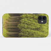 Coques Case-Mate iPhone Arbres de cèdre de Koya Sugi (Dos (Horizontal))