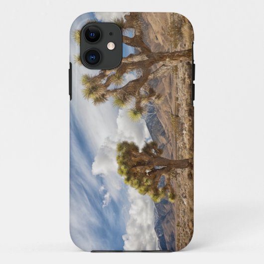 Coques Case-Mate iPhone Arbres de Joshua dans le désert (Dos)