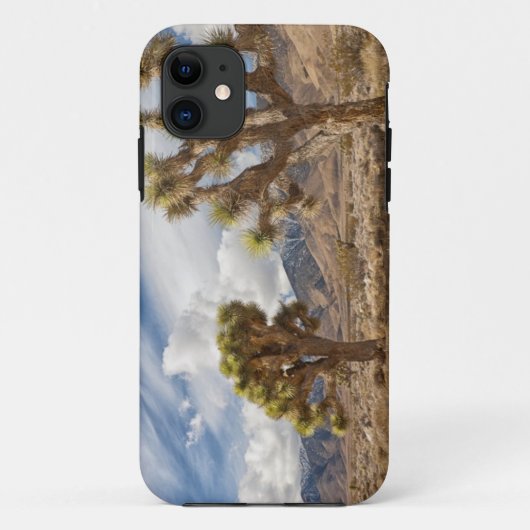 Coques Case-Mate iPhone Arbres de Joshua dans le désert (Dos)