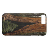 Coques Case-Mate iPhone Arbres de séquoia, Parc national de Sequoia. (Dos (Horizontal))