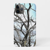 COQUES Case-Mate iPhone ARBRES D'HIVER (Dos)