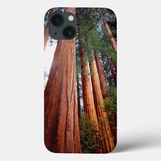 Coques Case-Mate iPhone arbres séquoias géants à feuilles rouges (Verso)