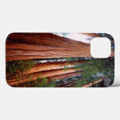 Coques Case-Mate iPhone arbres séquoias géants à feuilles rouges (Verso (horizontal))