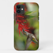 Coques Case-Mate iPhone Archilochus Colubris (Dos)