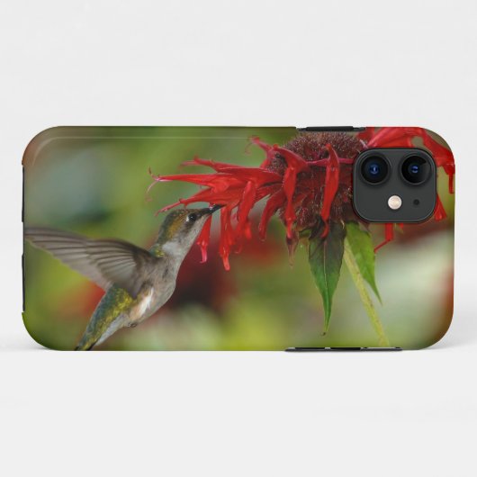 Coques Case-Mate iPhone Archilochus Colubris (Dos (Horizontal))