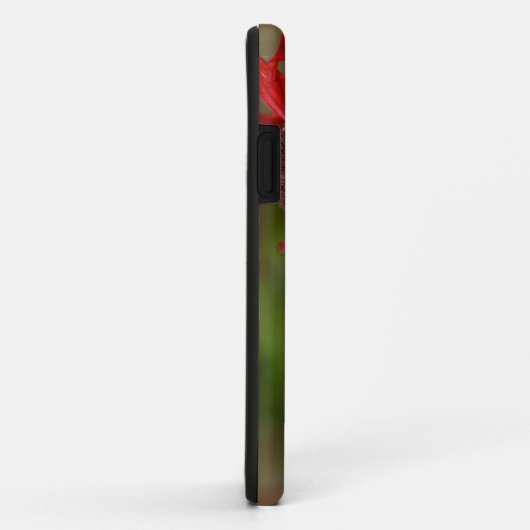 Coques Case-Mate iPhone Archilochus Colubris (Dos/Droite)