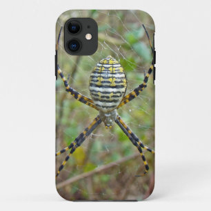 Etui iPhone Case-Mate Argiope trifasciata Orb Weaver Spider