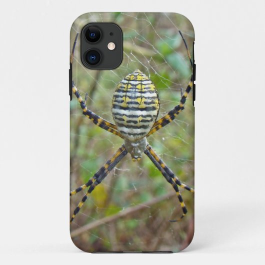 Coques Case-Mate iPhone Argiope trifasciata Orb Weaver Spider (Dos)