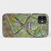 Coques Case-Mate iPhone Argiope trifasciata Orb Weaver Spider (Dos (Horizontal))