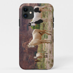 Case-Mate iPhone Case Arizona, réserve indienne navajo, Chinle,