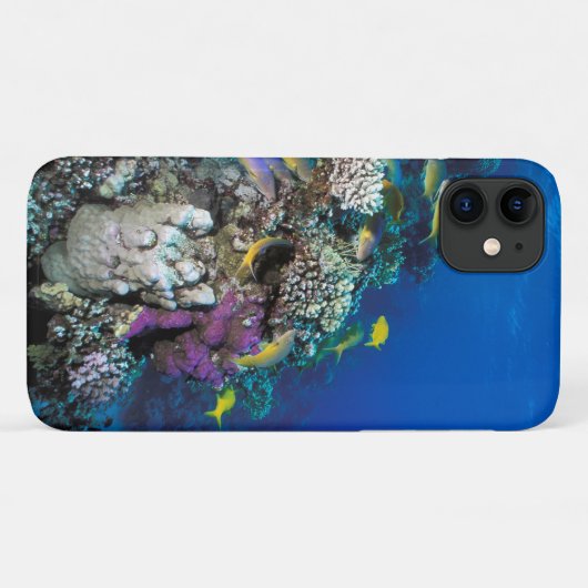 Coques Case-Mate iPhone Around Small Coral (Dos (Horizontal))