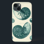 Etui iPhone 13 Art de coquillage rouge et vert<br><div class="desc">L'artiste Denis Diderot est talentueux et connu pour ses grandes images de la vie marine. Dans cette image très vivante, il capture deux coquillages conques crackled rouge et vert dans leur style le plus naturel. Les conches sont souvent craquelés comme ces deux coquillages et dans un ton sépia. Obtenez votre...</div>