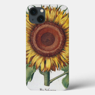 iPhone 13 Coque Art de fleur de damas vintage tournesol