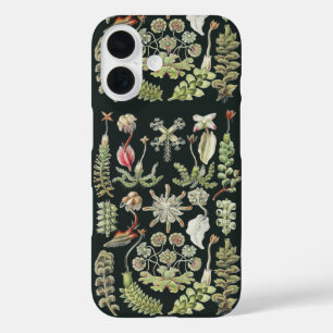 Coques iPhone 16 Art Nature Scientifique Ernst Haeckel Hépatiques